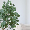 image:imageNearly Natural 4ft Artificial Eucalyptus Tree