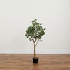 image:imageNearly Natural 4ft Artificial Eucalyptus Tree