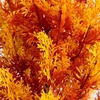 image:imageNearly Natural 4ft UV Resistant Autumn Artificial Fall Cedar Tree  IndoorOutdoor