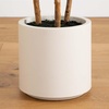 image:imageNearly Natural 5ft Artificial Fiddle Leaf Tree in Decorative White Planter
