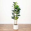 image:imageNearly Natural 5ft Artificial Fiddle Leaf Tree in Decorative White Planter