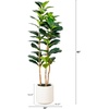 image:imageNearly Natural 5ft Artificial Fiddle Leaf Tree in Decorative White Planter