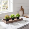 image:imageNearly Natural 7 in Artificial Daisy Plant in Black Pot Set of 3Assortment 1