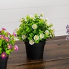 image:imageNearly Natural 7 in Artificial Daisy Plant in Black Pot Set of 3Assortment 1