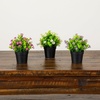 image:imageNearly Natural 7 in Artificial Daisy Plant in Black Pot Set of 3Assortment 1