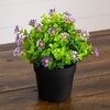 image:imageNearly Natural 7 in Artificial Daisy Plant in Black Pot Set of 3Assortment 1