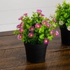 image:imageNearly Natural 7 in Artificial Daisy Plant in Black Pot Set of 3Assortment 1