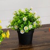 image:imageNearly Natural 7 in Artificial Daisy Plant in Black Pot Set of 3Assortment 2