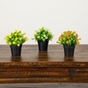 image:imageNearly Natural 7 in Artificial Daisy Plant in Black Pot Set of 3Assortment 2