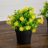image:imageNearly Natural 7 in Artificial Daisy Plant in Black Pot Set of 3Assortment 2