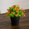 image:imageNearly Natural 7 in Artificial Daisy Plant in Black Pot Set of 3Assortment 2