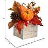 image:imageNearly Natural 8 Fall Harvest Pumpkins and Berries Artificial Arrangement7 In W x 7 In D x 8 In H