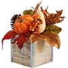 image:imageNearly Natural 8 Fall Harvest Pumpkins and Berries Artificial Arrangement7 In W x 7 In D x 8 In H Pack of 2