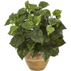 image:imageNearly Natural 14in Pothos Artificial Plant in Ceramic Planter