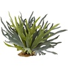 image:imageNearly Natural 21 in Artificial Staghorn Fern Set of 2 Hanging Room Decor