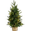 image:imageNearly Natural 2ft Artificial Christmas Tree with 35 Clear LED Lights in Decorative Basket