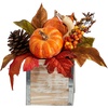 image:imageNearly Natural 8 Fall Harvest Pumpkins and Berries Artificial Arrangement7 In W x 7 In D x 8 In H