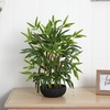 image:imageNearly Natural 20 Bamboo Artificial Silk Plants Green