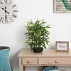image:imageNearly Natural 20 Bamboo Artificial Silk Plants Green