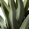 image:imageNearly Natural 30 in Artificial Agave Plant with Black Planter
