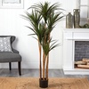 image:imageNearly Natural 55 Giant Yucca Artificial UV Resistant Silk Trees Green 66 in h x 25 in w x 18 in d