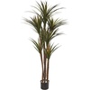 image:imageNearly Natural 55 Giant Yucca Artificial UV Resistant Silk Trees Green 66 in h x 25 in w x 18 in d