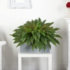 image:imageNearly Natural Boston Fern Artificial Plant in Stone Planter