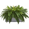 image:imageNearly Natural Boston Fern Artificial Plant in Stone Planter